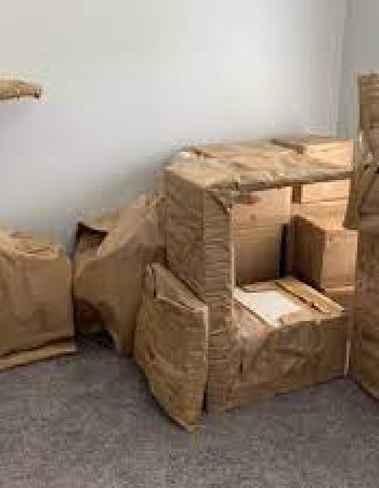 Ritzy Moving & Storage
