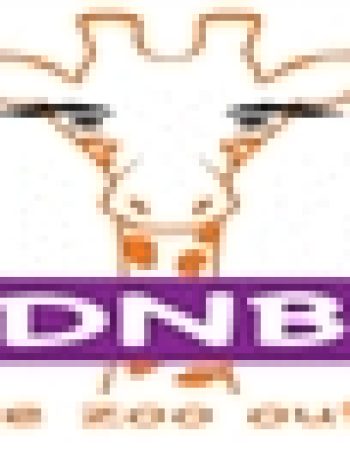 padnbox moving and more llc