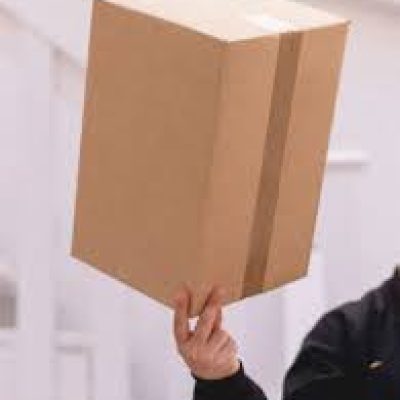 Vinings Worldwide International Moving & Relocation