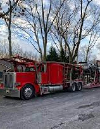Adorno Trucking Inc