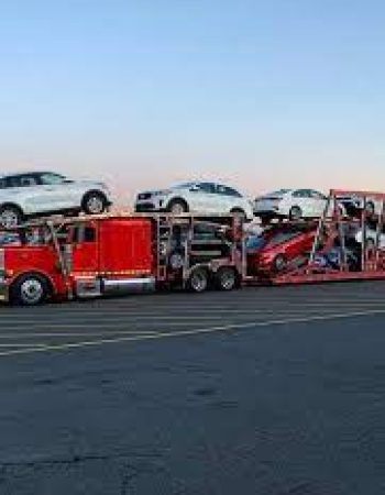 Adorno Trucking Inc