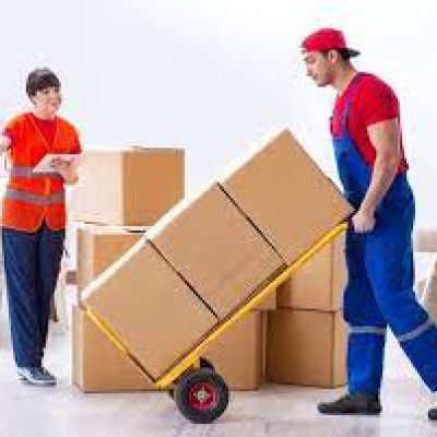 Movers Plus
