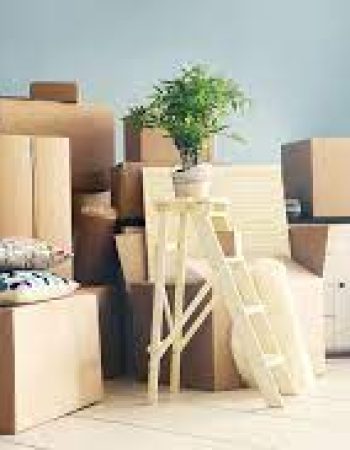 Move Smart LLC