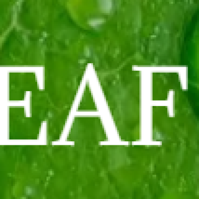 Green Leaf Movers