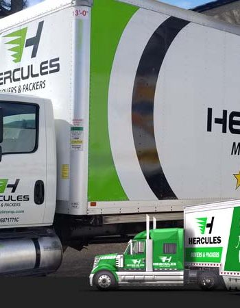 Hercules Movers & Packers