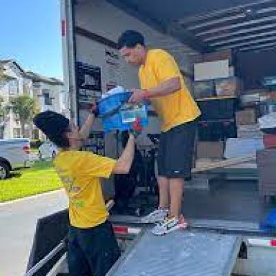 True Moves LLC