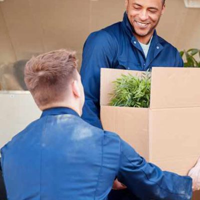 Flex Movers