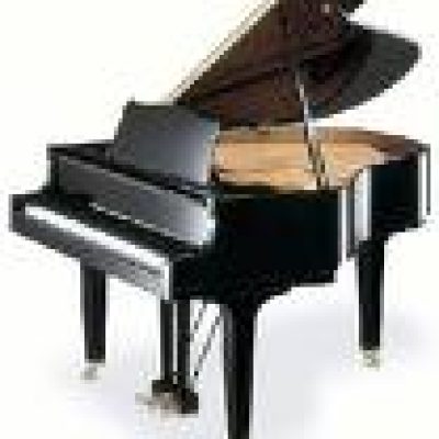 Martin's Professional Piano Moving