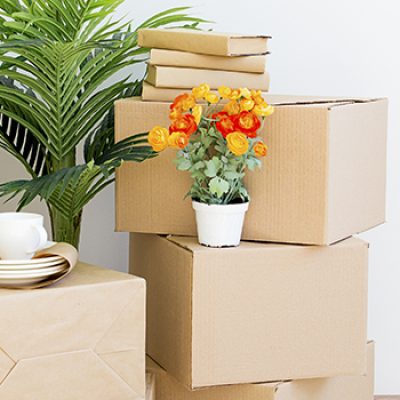 Austex Moving