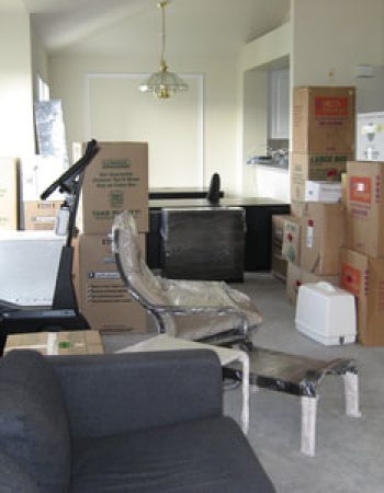 Corradino Bollenbach Moving