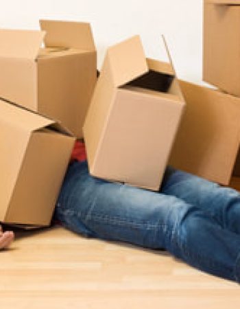 Corradino Bollenbach Moving