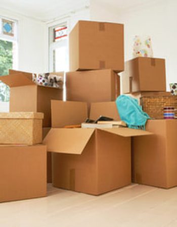 Corradino Bollenbach Moving