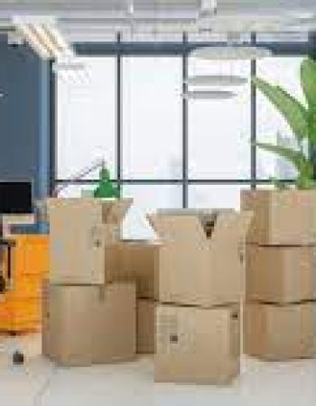 Movers New Rochelle Ltd