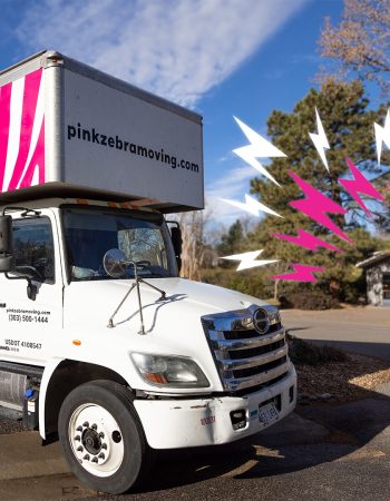 Pink Zebra Moving