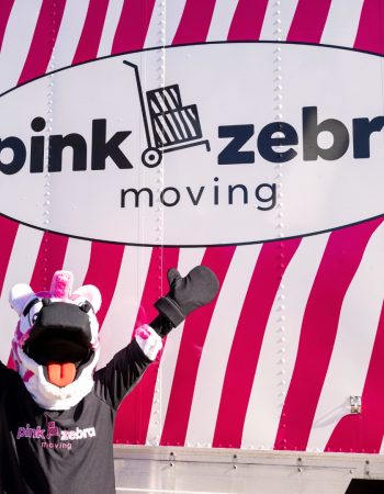 Pink Zebra Moving