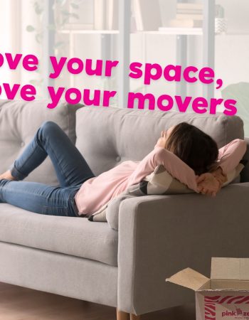 Pink Zebra Moving