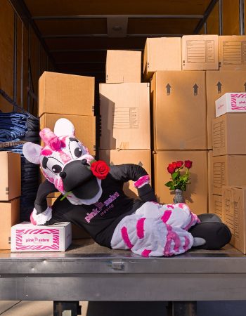 Pink Zebra Moving