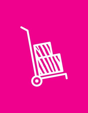 Pink Zebra Moving