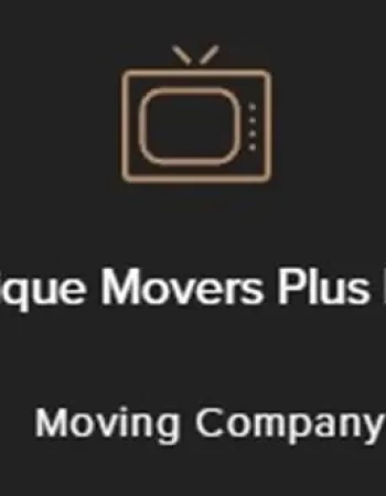 Unique Movers Plus LLC